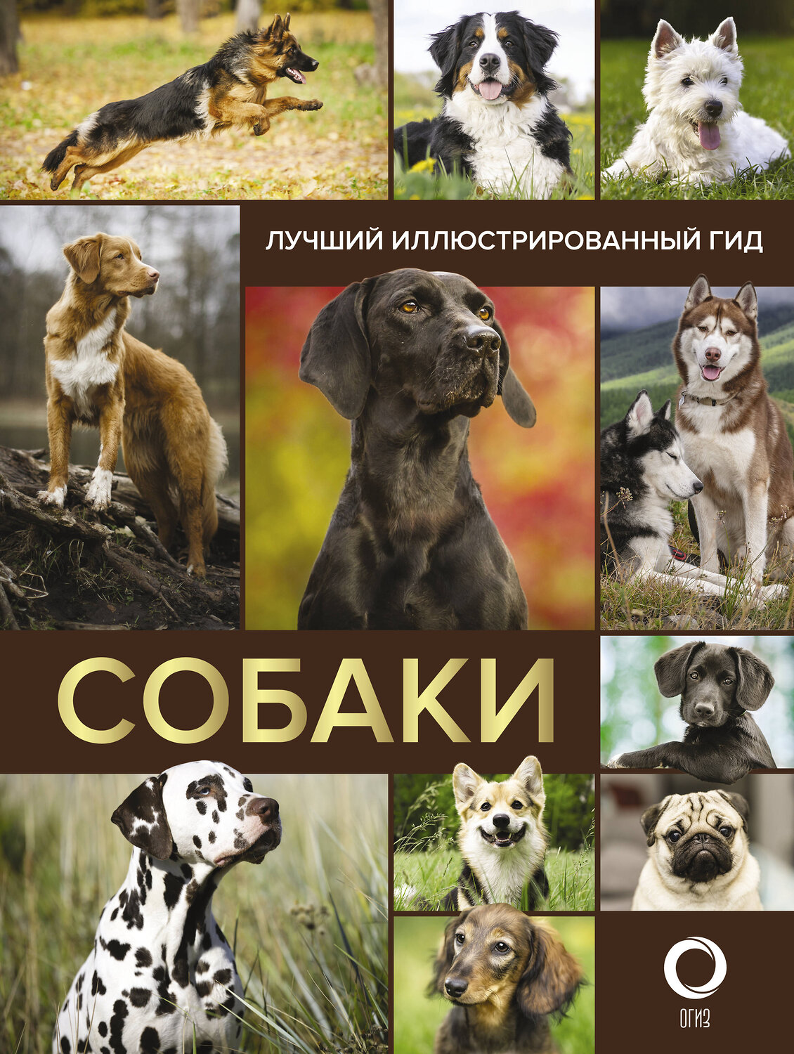 АСТ . "Собаки. Лучший иллюстрированный гид" 485991 978-5-17-133857-2