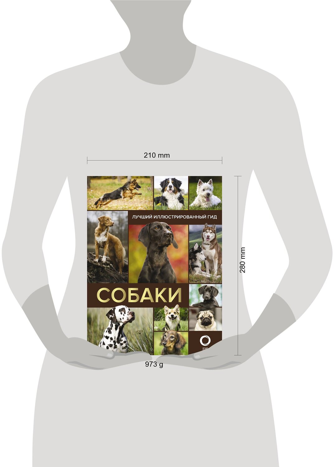 АСТ . "Собаки. Лучший иллюстрированный гид" 485991 978-5-17-133857-2
