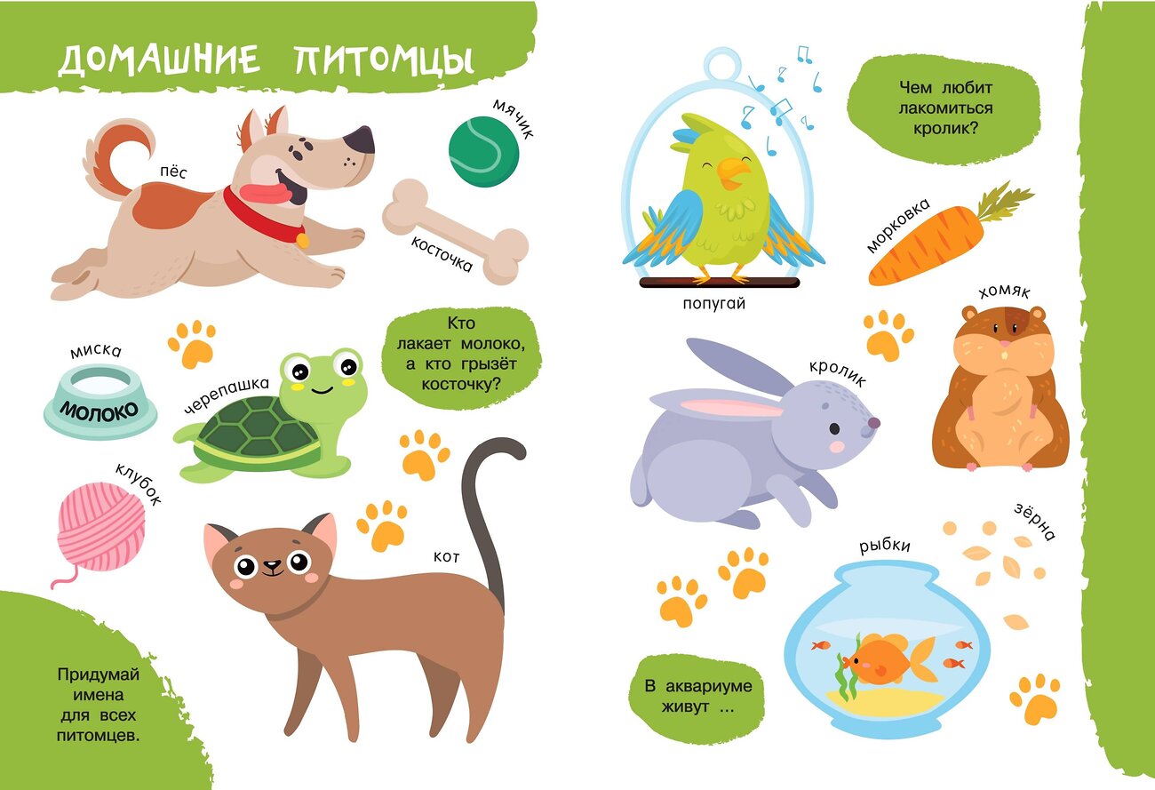АСТ Дмитриева В.Г. "Моя первая книга о животных" 488365 978-5-17-138002-1