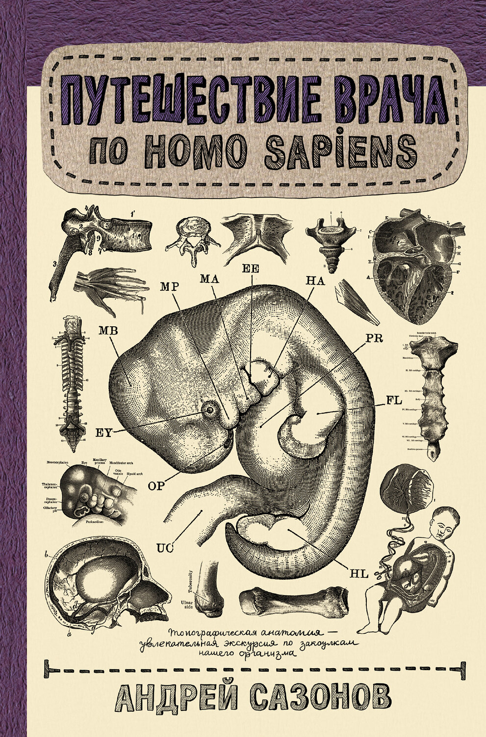 АСТ Сазонов А. "Путешествие врача по Homo Sapiens" 490739 978-5-17-114327-5