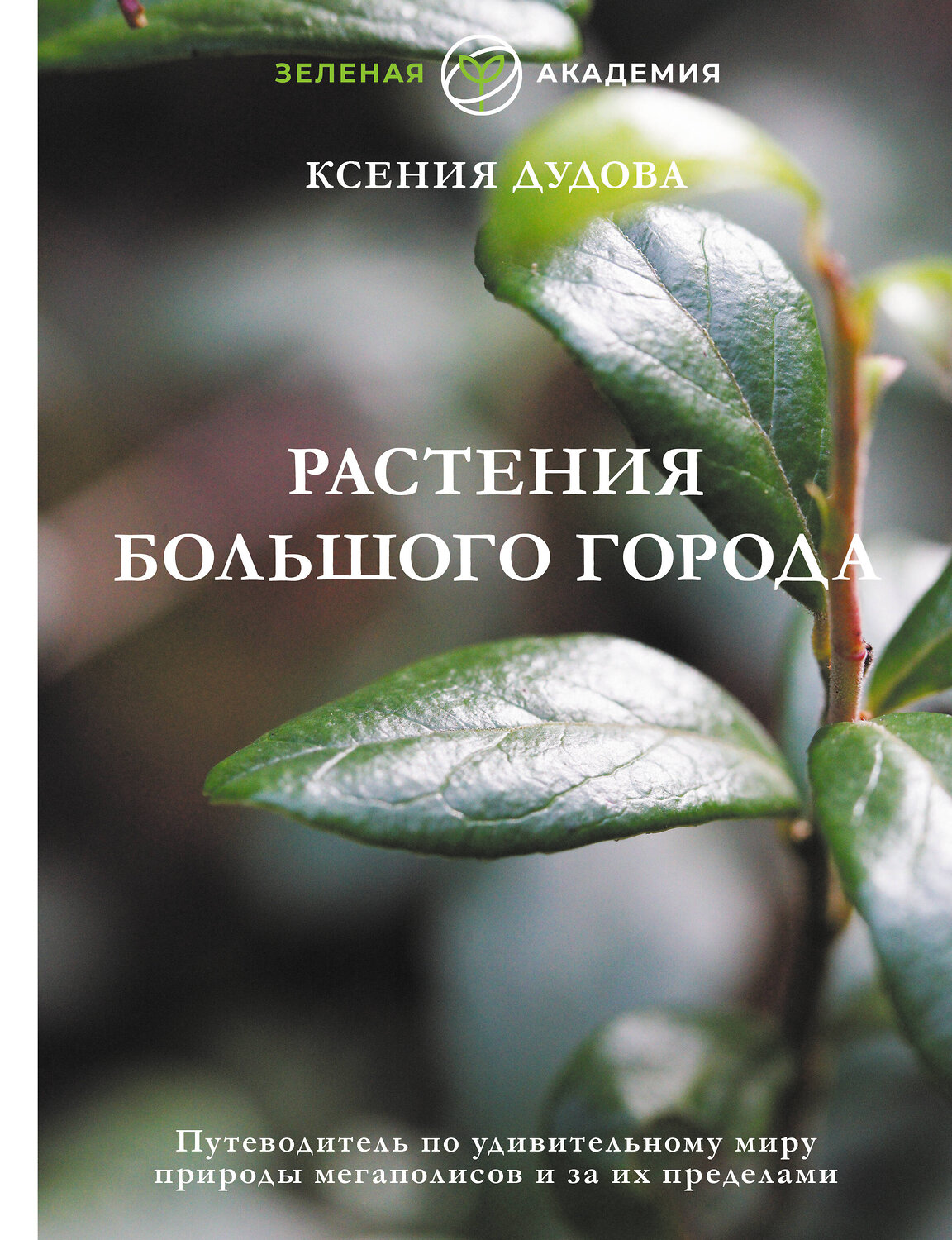 АСТ Ксения Дудова "Растения большого города. Путеводитель по удивительному миру природы мегаполисов и за их пределами" 539798 978-5-17-150611-7
