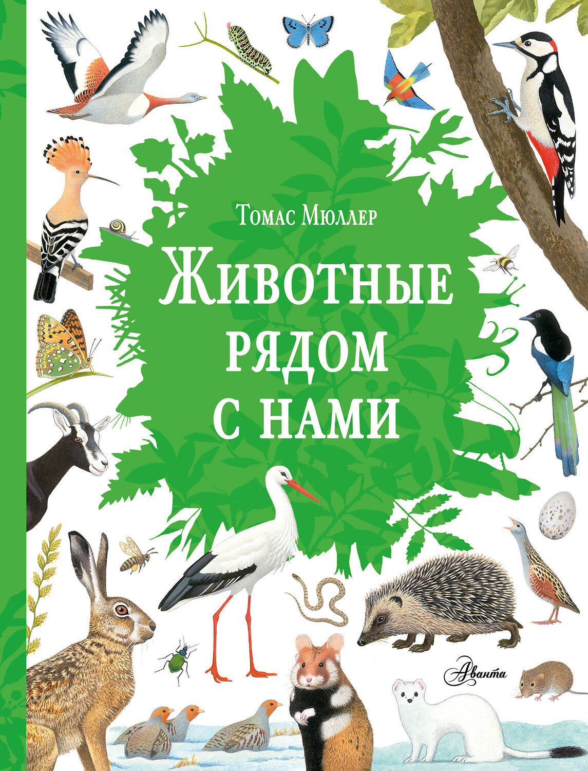 АСТ Томас Мюллер "Животные рядом с нами" 539897 978-5-17-175209-5