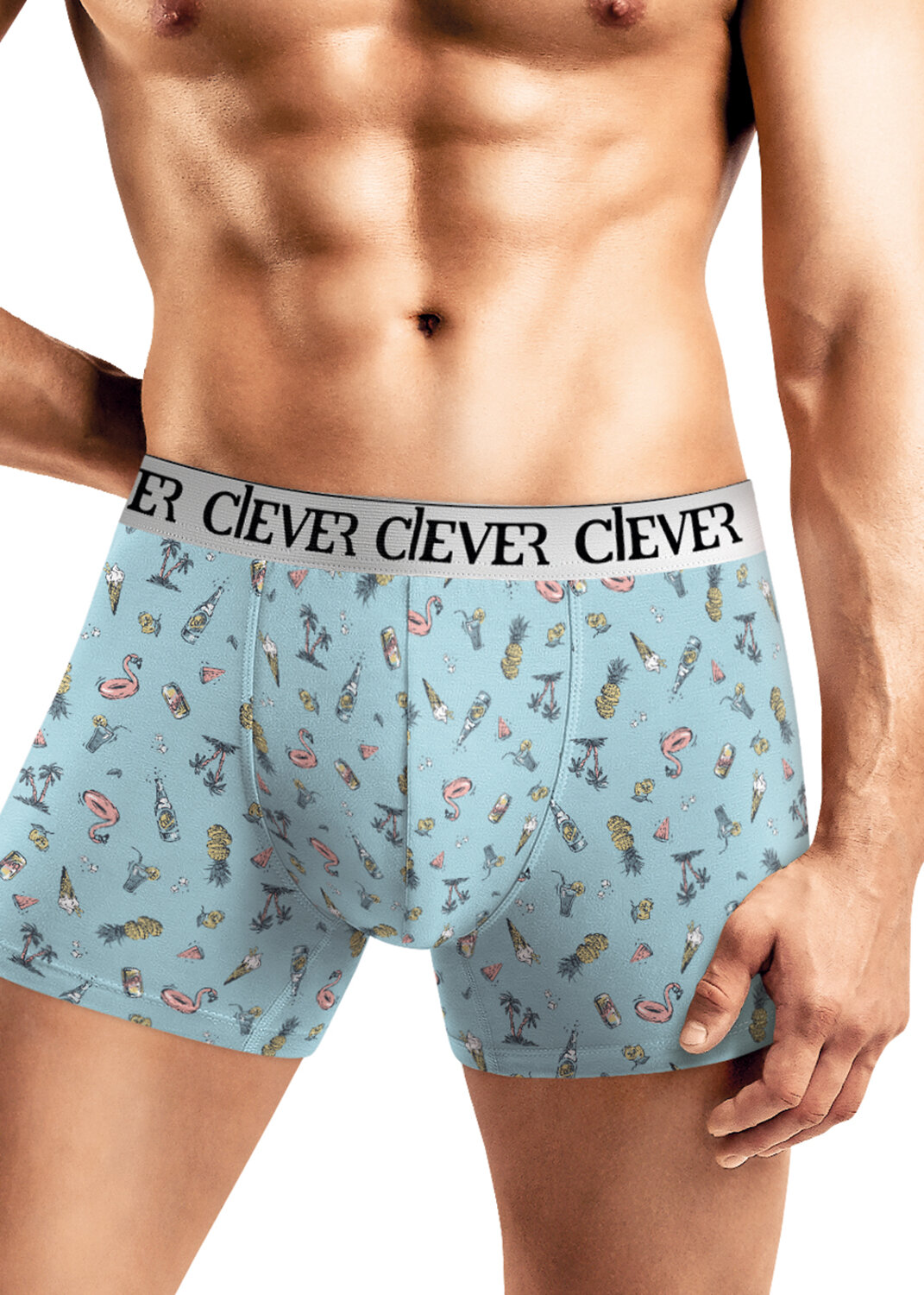CLEVER Трусы 540458 MSH552963 голубой/белый