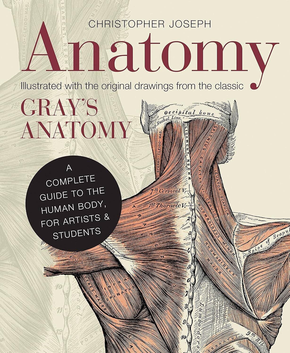 Эксмо Christopher Joseph "Anatomy (Christopher Joseph) Анатомиия (Кристофер Джозеф) /Книги на английском языке" 541564 978-1-78-240127-8