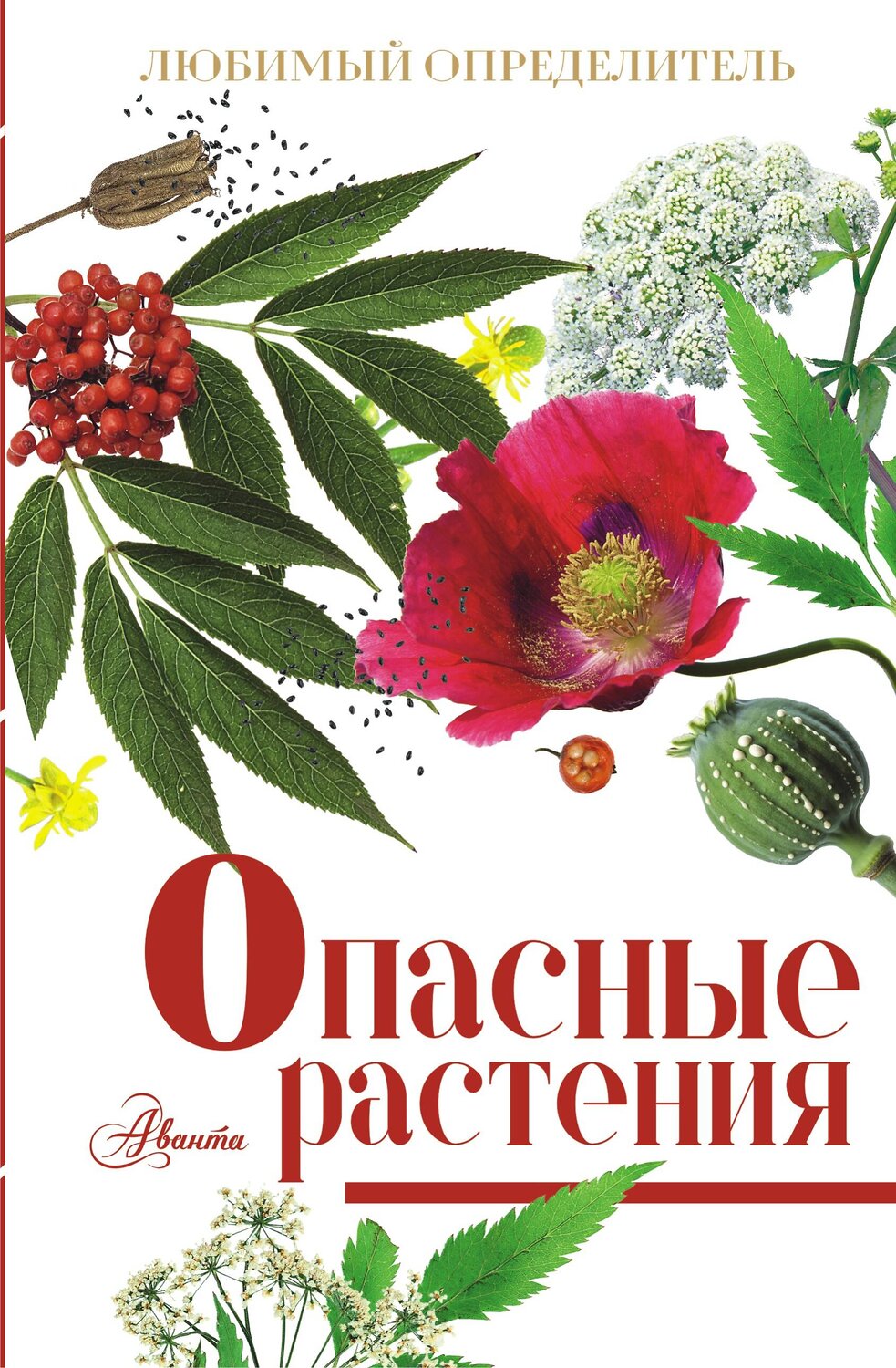 АСТ Пескова И.М. "Опасные растения" 541625 978-5-17-176123-3
