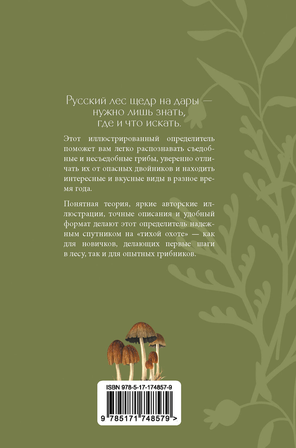АСТ Мария Сергеева "Грибы русского леса. Иллюстрированный определитель" 543649 978-5-17-174857-9