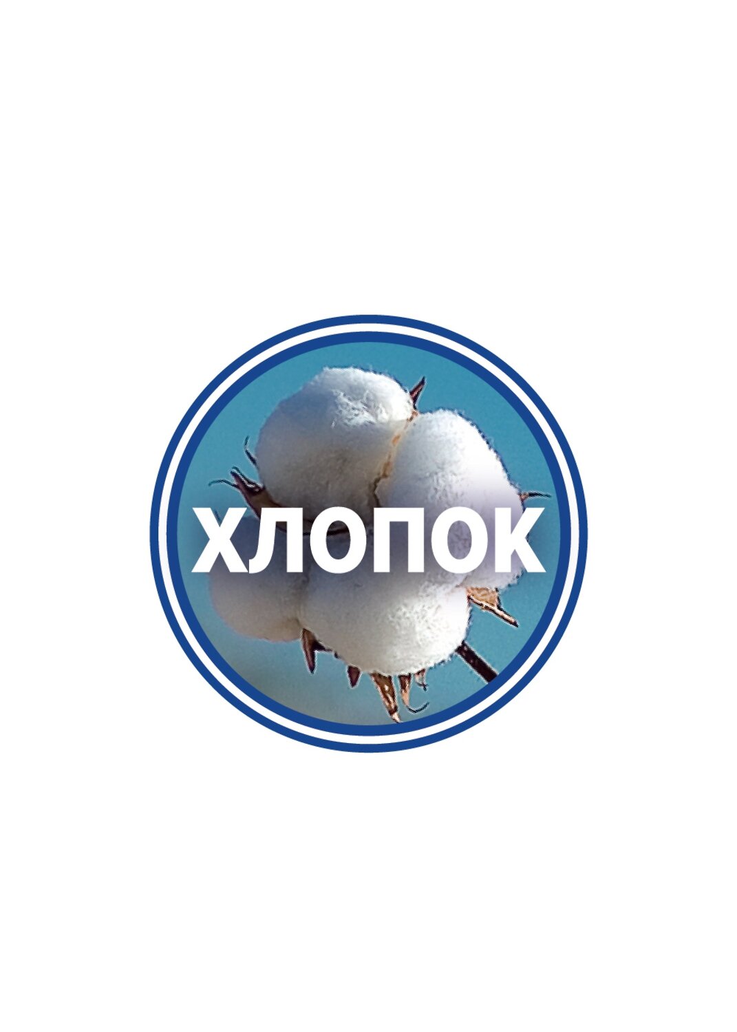 CLEVER Трусы 544404 MBX608710/8 т.фиолетовый