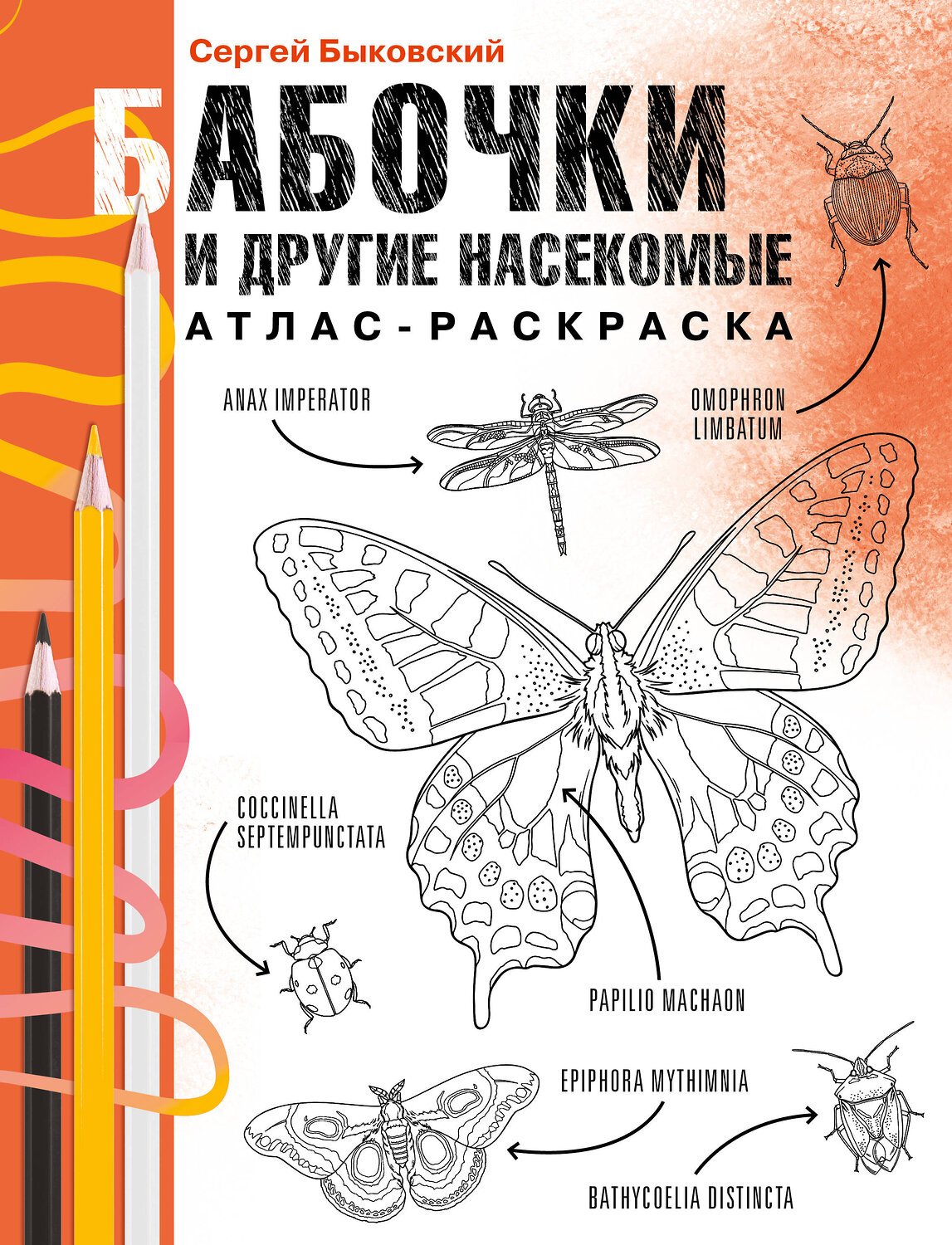 АСТ Сергей Быковский "Бабочки и другие насекомые. Атлас-раскраска" 545196 978-5-17-159941-6