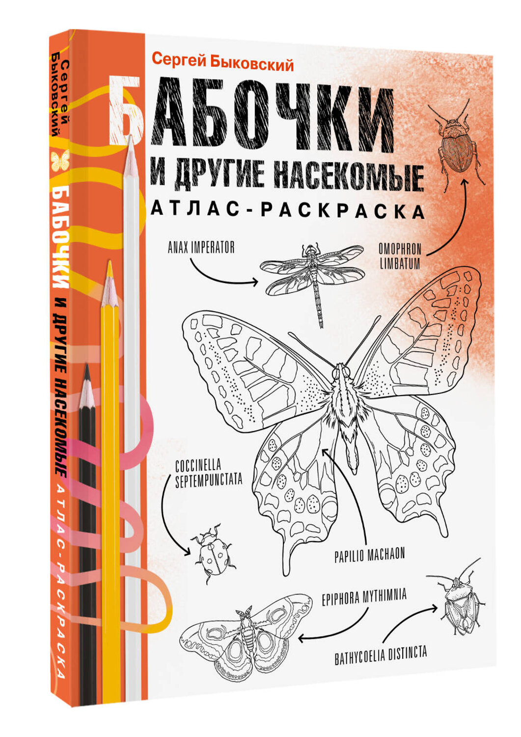 АСТ Сергей Быковский "Бабочки и другие насекомые. Атлас-раскраска" 545196 978-5-17-159941-6