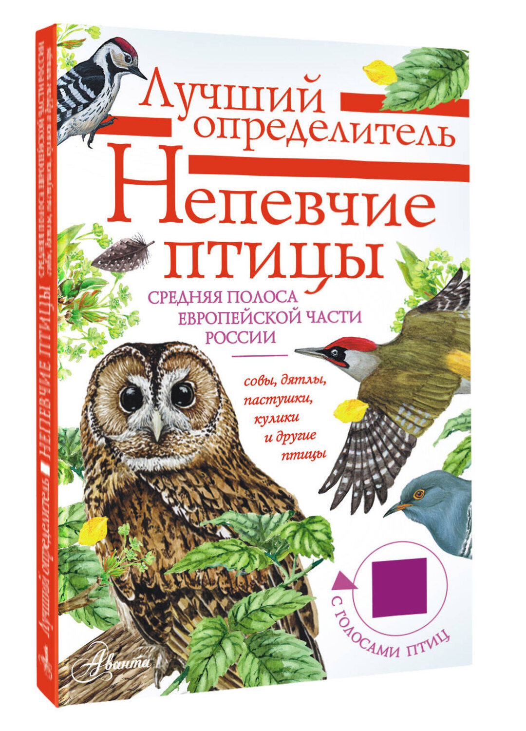 АСТ Коблик Е.А., Архипов В.Ю. "Непевчие птицы. Средняя полоса европейской части России. Определитель с голосами птиц" 545211 978-5-17-165295-1