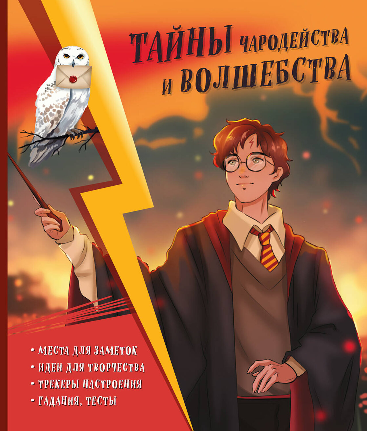 Эксмо Хохлова В.А., Пиданова А.П., Петрунина Ю. "Тайны чародейства и волшебства. Книга творчества и вдохновения (Гарри)" 546920 978-5-04-179983-0