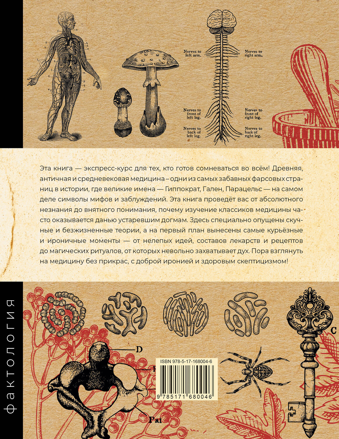 АСТ Михаил Глухарев "Основы медицины, о которых пора забыть" 547232 978-5-17-168004-6