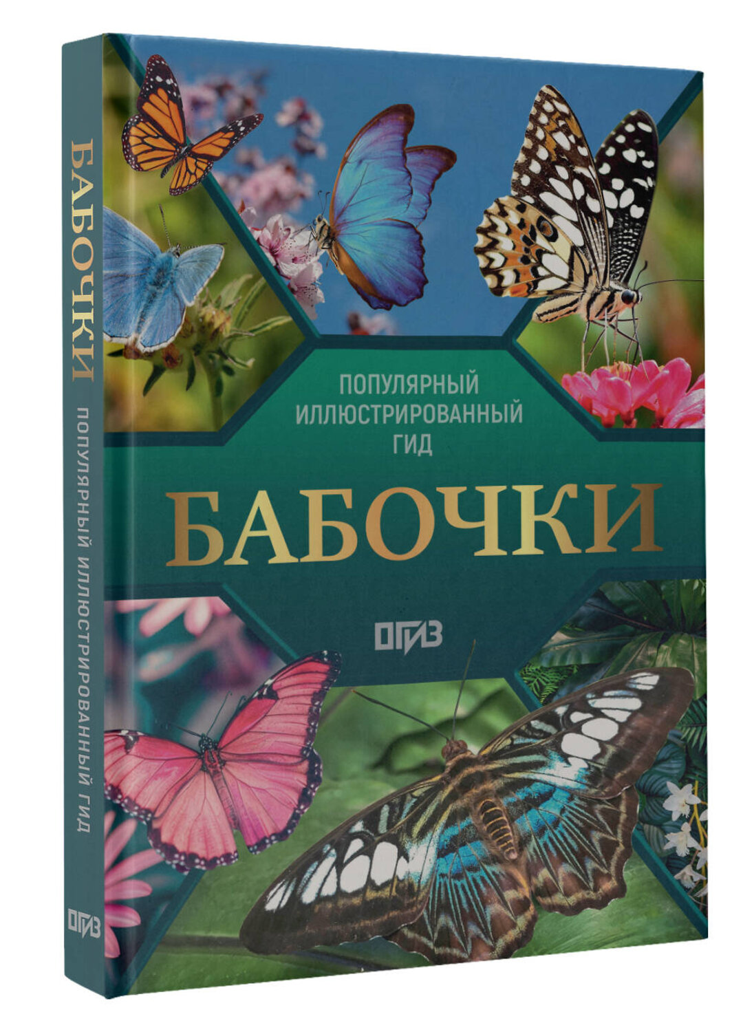 АСТ Анна Спектор "Бабочки. Иллюстрированный гид" 547304 978-5-17-173862-4
