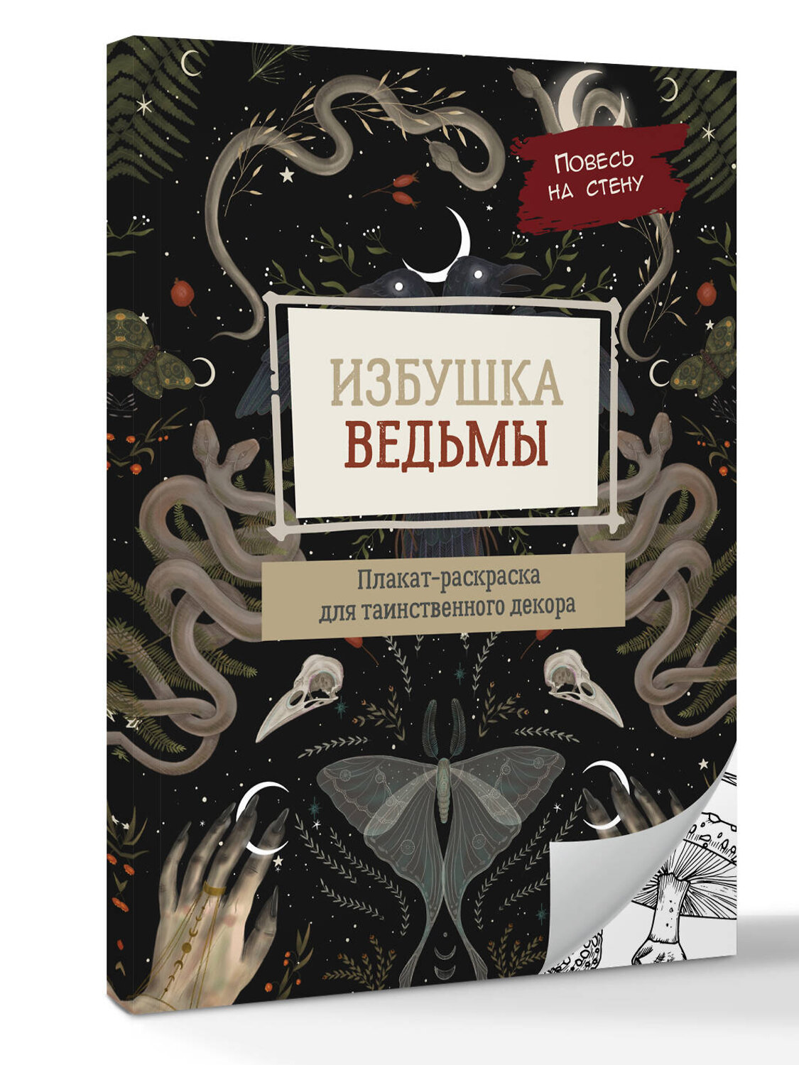 АСТ . "Избушка ведьмы" 549652 978-5-17-169655-9