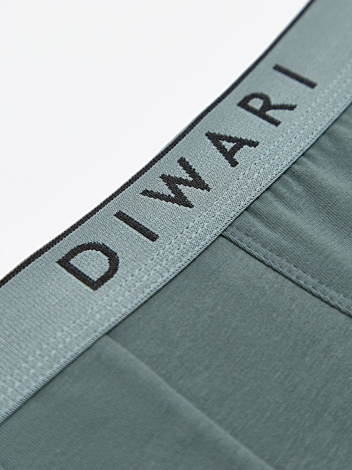 DiWaRi Трусы 556970 PREMIUM MSH 1568 (бандероль) stormy green-silver blue