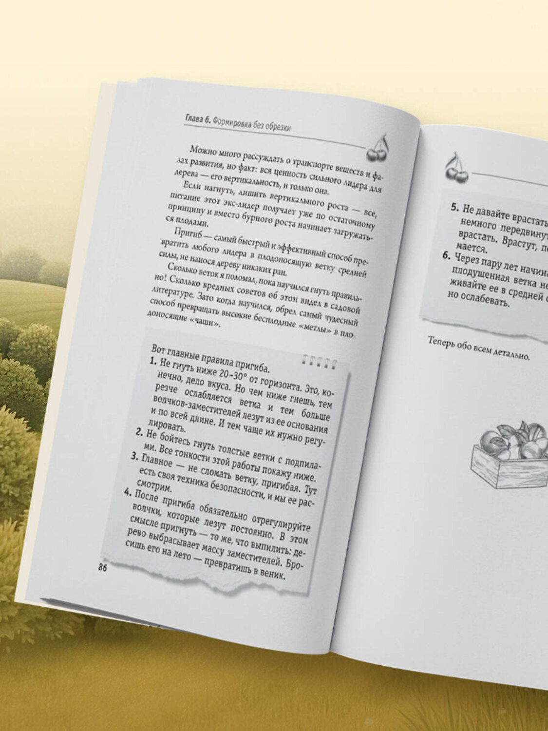 Эксмо Николай Курдюмов "Обрезка и формировка деревьев и кустарников" 557020 978-5-04-199991-9