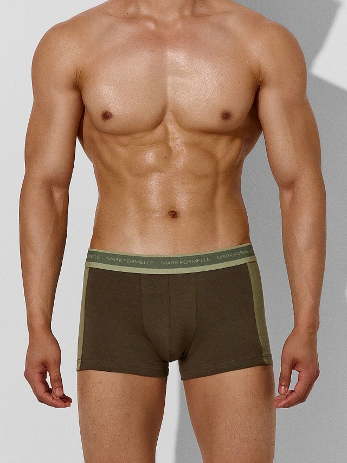 MARK FORMELLE Трусы 559213 411224-3 табак +зеленый чай +алюминий
