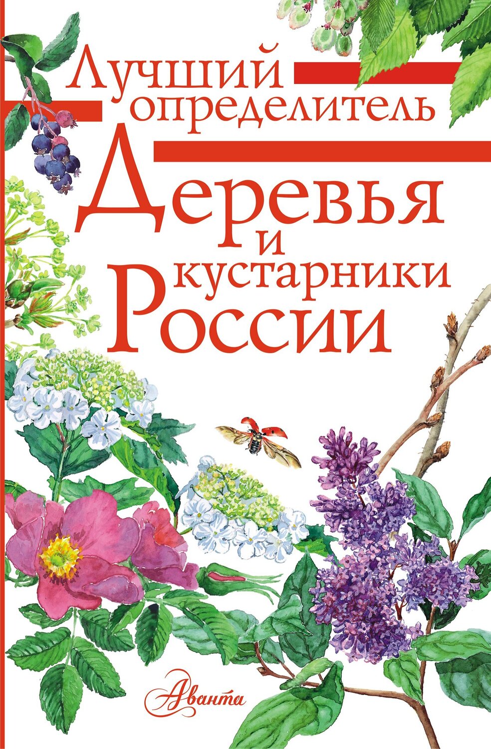 АСТ Пескова И.М. "Деревья и кустарники России. Определитель" 562635 978-5-17-106228-6