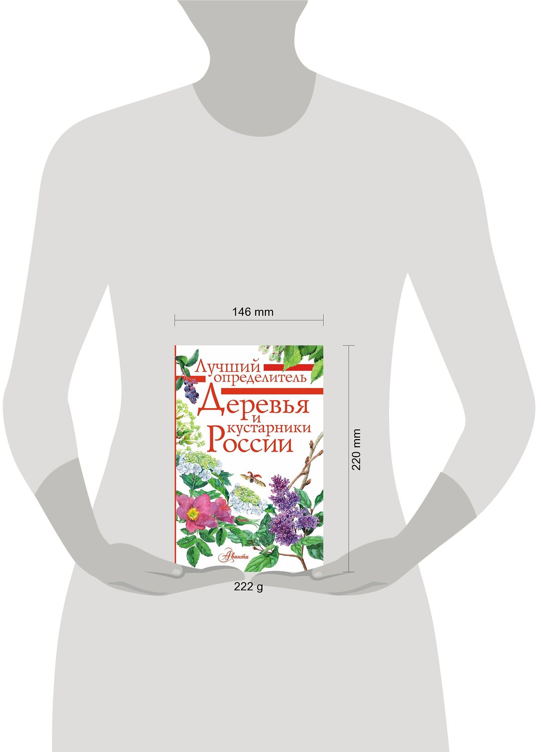 АСТ Пескова И.М. "Деревья и кустарники России. Определитель" 562635 978-5-17-106228-6