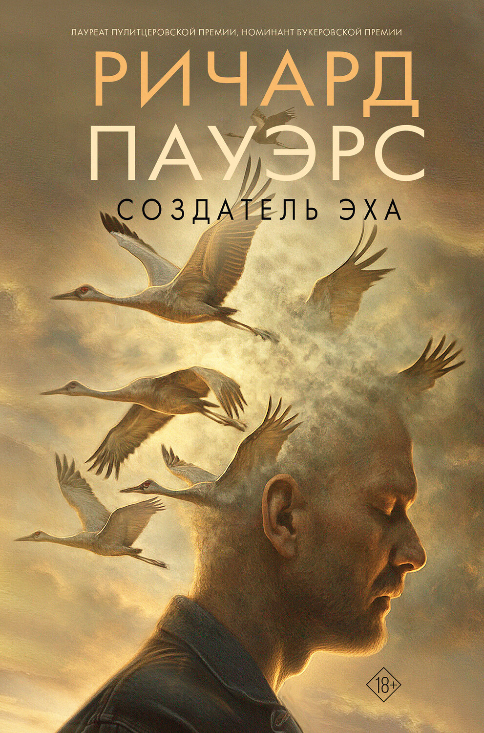 АСТ Ричард Пауэрс "Создатель эха" 562642 978-5-17-147642-7