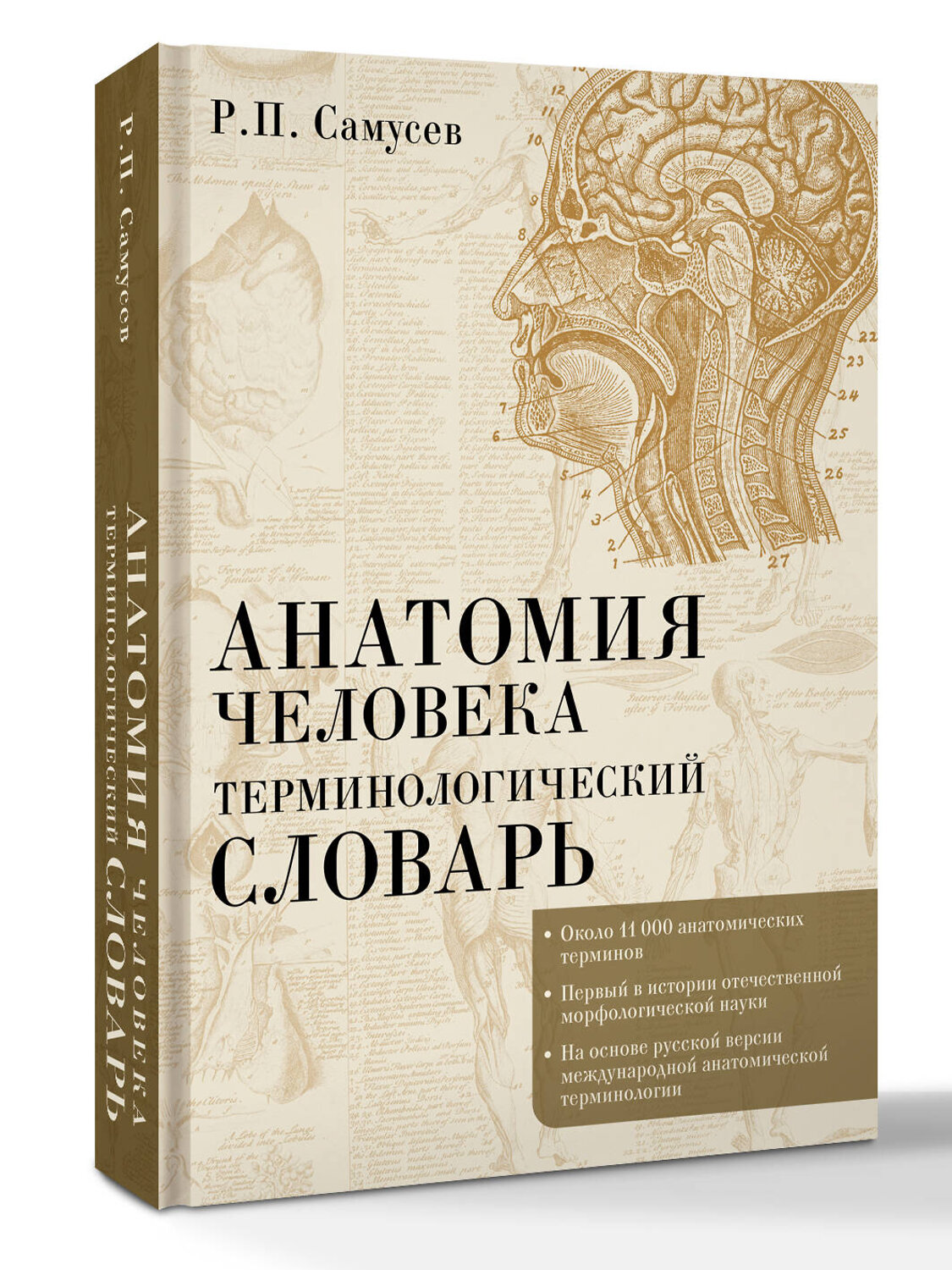 АСТ Р. П. Самусев "Анатомия человека.Терминологический словарь" 562665 978-5-17-166270-7