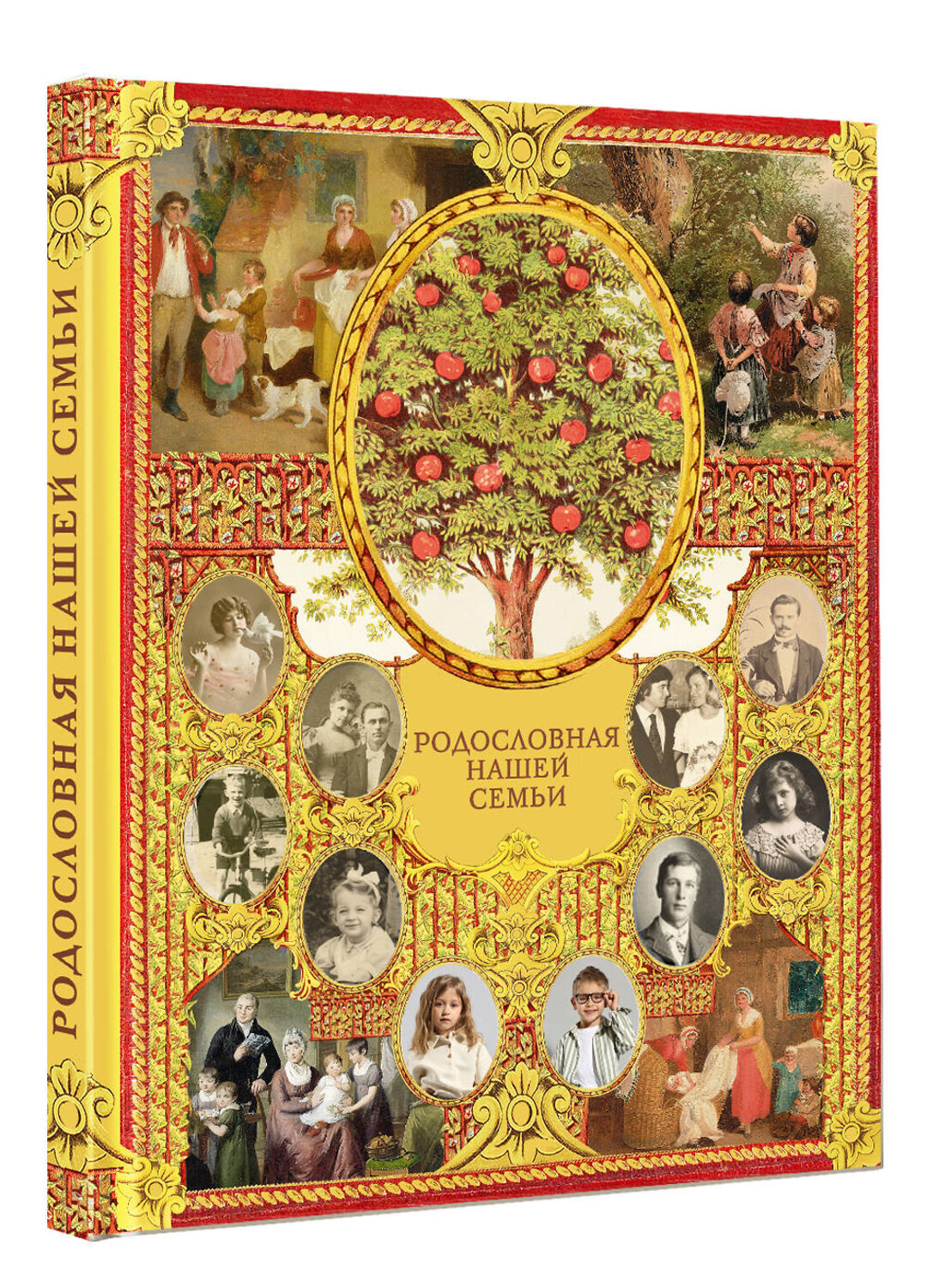 АСТ Дмитриева В.Г. "Родословная нашей семьи" 562778 978-5-17-172030-8