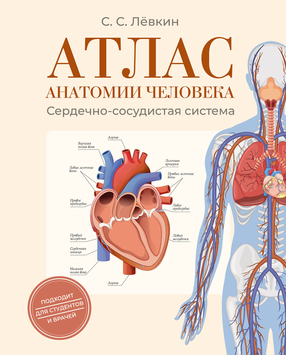 АСТ Лёвкин С.С. "Атлас анатомии человека. Сердечно-сосудистая система" 562864 978-5-17-178846-9