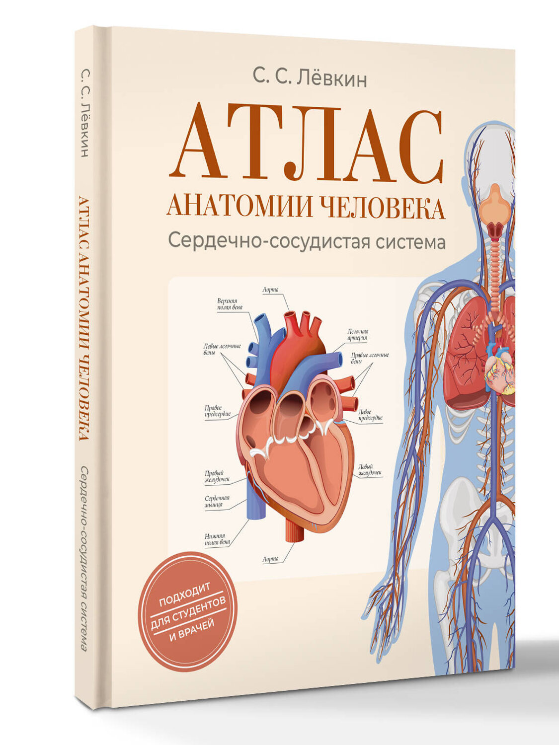 АСТ Лёвкин С.С. "Атлас анатомии человека. Сердечно-сосудистая система" 562864 978-5-17-178846-9