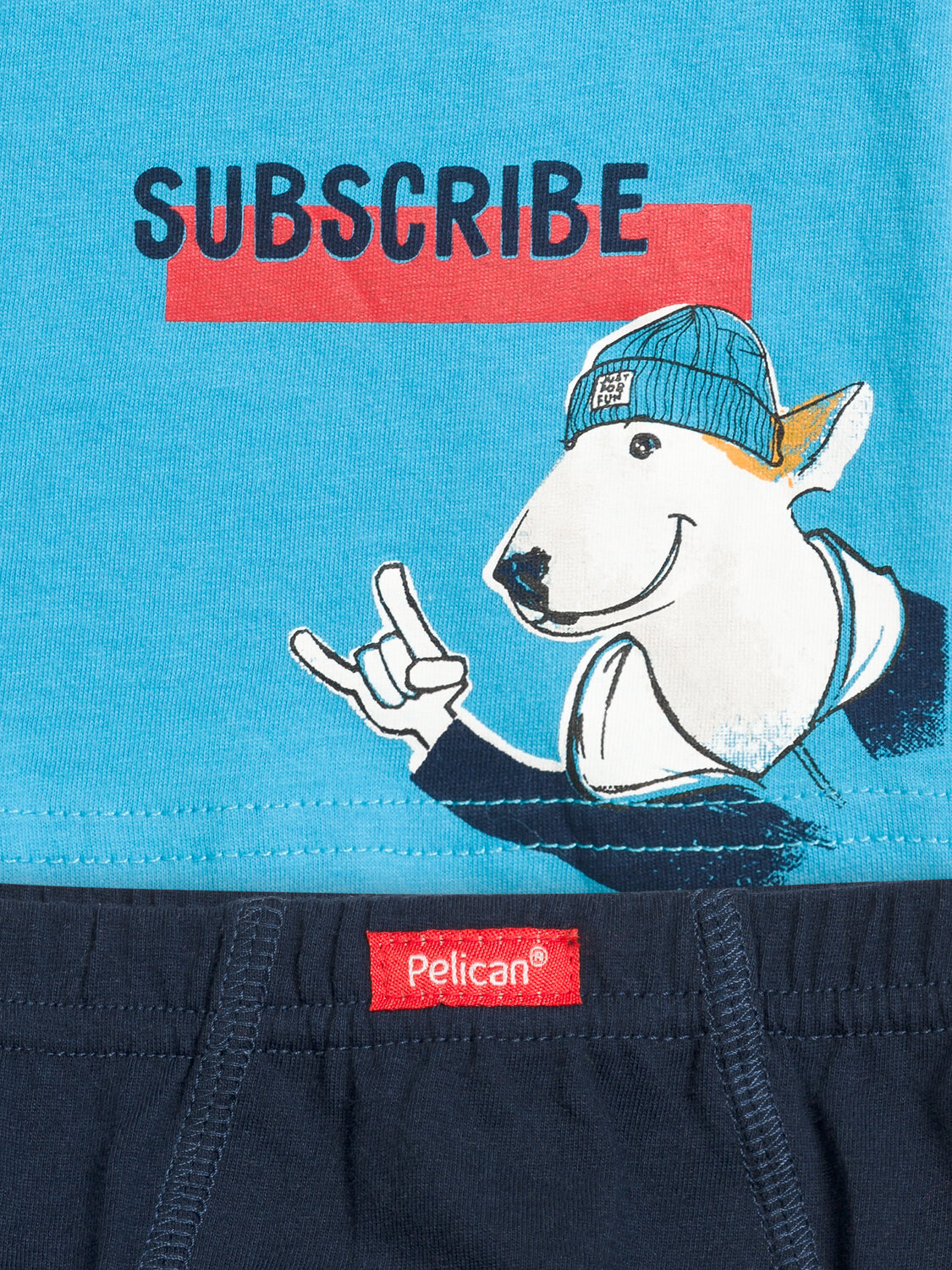 PELICAN Комплект 132352 BUAVL3194 Голубой