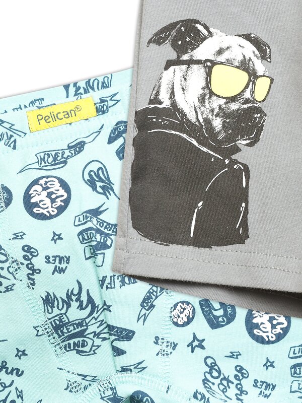 PELICAN Трусы 175514 BUHB3222(2) Серый/лазурный