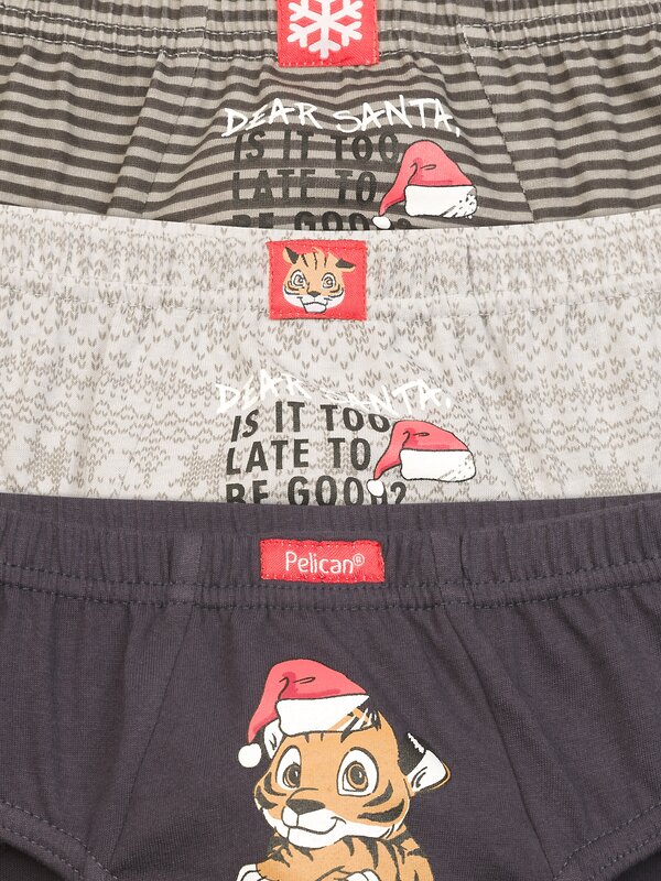 PELICAN Трусы 209132 BULB3870(3) Серый/светло-серый/темно-серый