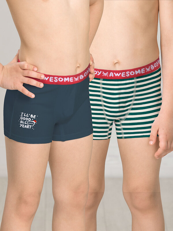 PELICAN Трусы 263520 BUHB3307(2) Серый/темно-синий