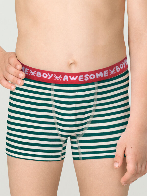 PELICAN Трусы 263520 BUHB3307(2) Серый/темно-синий