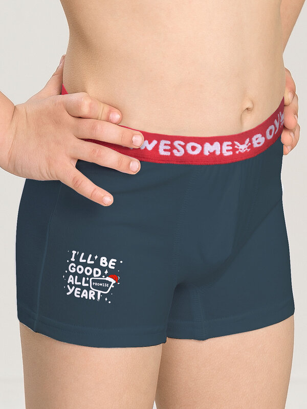 PELICAN Трусы 263520 BUHB3307(2) Серый/темно-синий