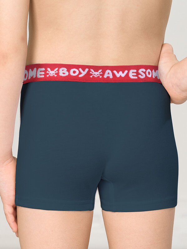 PELICAN Трусы 263520 BUHB3307(2) Серый/темно-синий