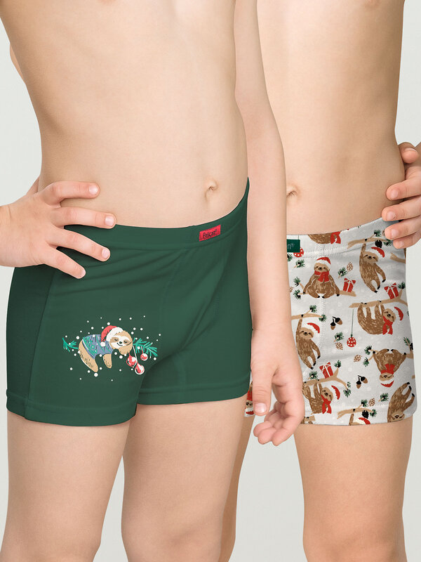 PELICAN Трусы 263522 BUHB3309(2) Хаки/серый