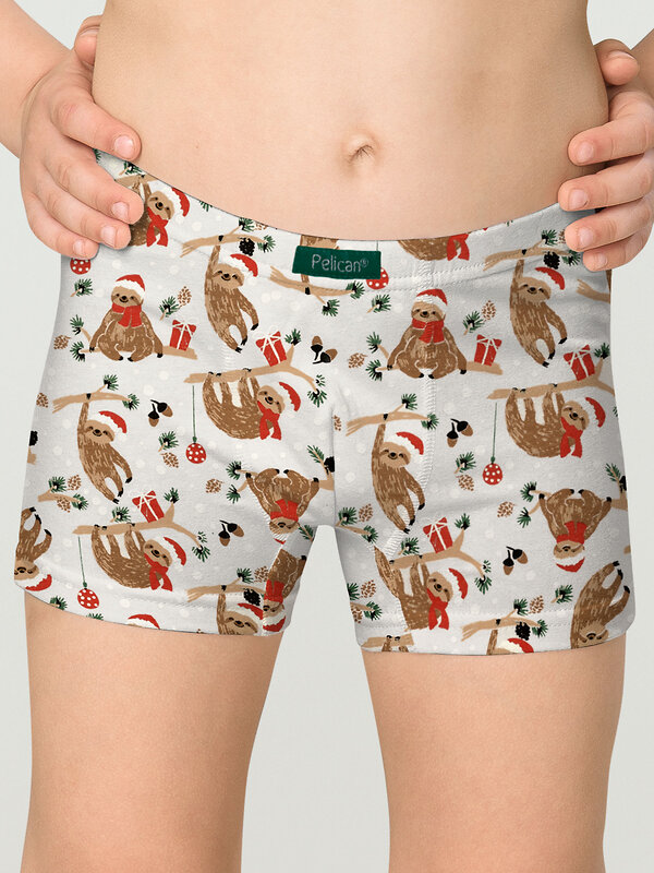 PELICAN Трусы 263522 BUHB3309(2) Хаки/серый