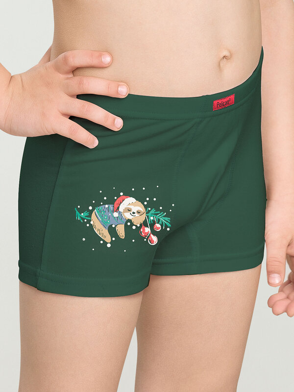 PELICAN Трусы 263522 BUHB3309(2) Хаки/серый