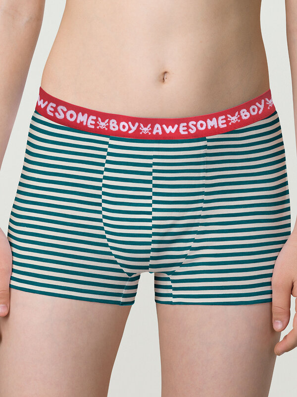 PELICAN Трусы 263523 BUHB4307(2) Серый/темно-синий