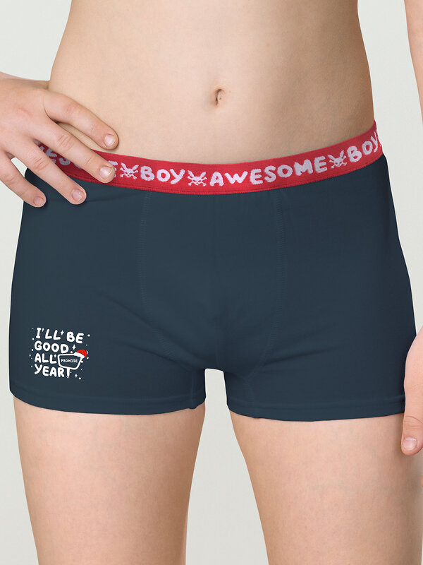 PELICAN Трусы 263523 BUHB4307(2) Серый/темно-синий