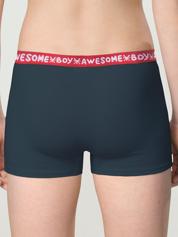 PELICAN Трусы 263523 BUHB4307(2) Серый/темно-синий