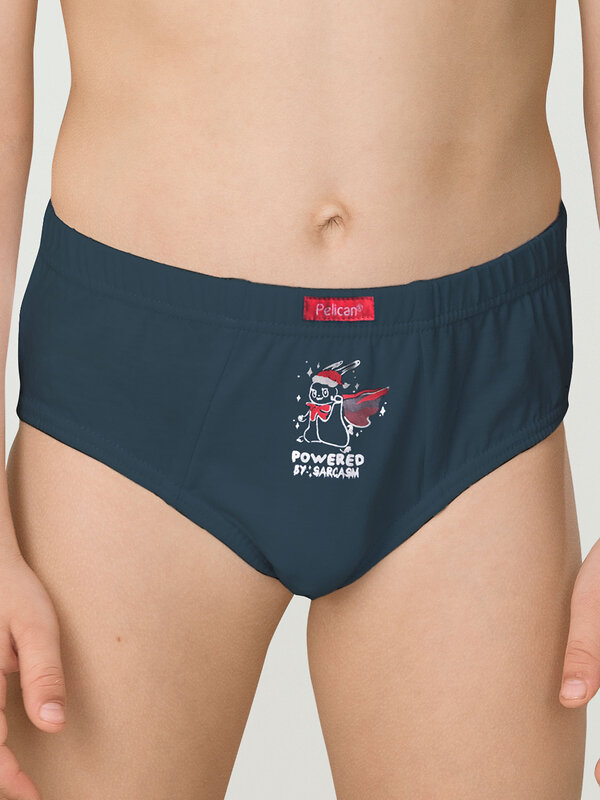 PELICAN Трусы 263528 BULB3307(3) Темно-синий/серый/темносерый