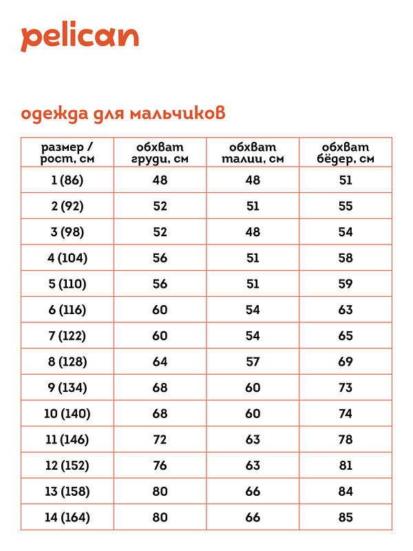 PELICAN Шорты 285496 BFH3333/1U Шоколадный