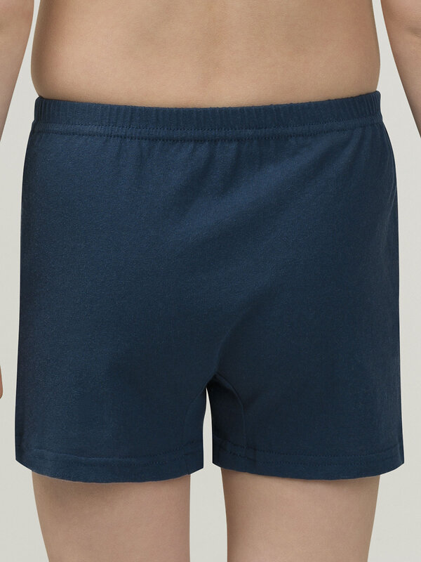 PELICAN Трусы 298179 BUB3297(2) Темно-синий/светло-серый