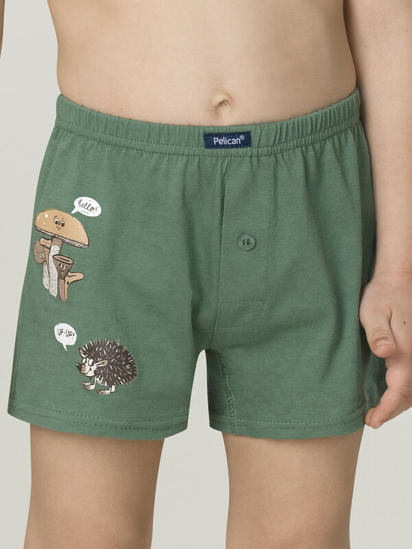 PELICAN Трусы 298180 BUB3303(2) Хаки/лед