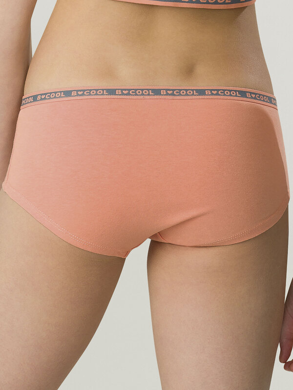 PELICAN Трусы 298296 GUHB4298(2) Персиковый/светло-серый