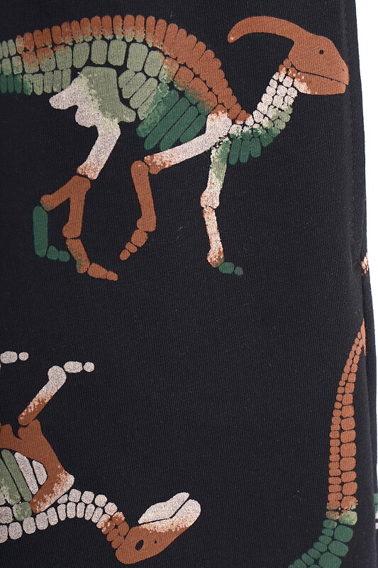 CROCKID Брюки 298516 К 400044 черный, динозавры