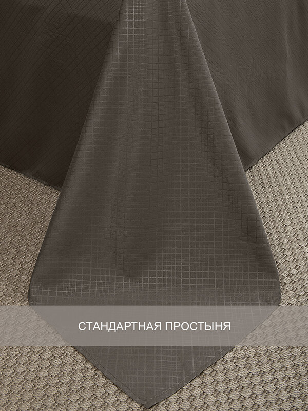 TEXREPUBLIC КПБ ЕВРО 301878 58260 Коричневый