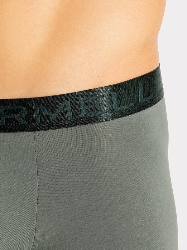 MARK FORMELLE Трусы 314866 411215-2 камень +торф