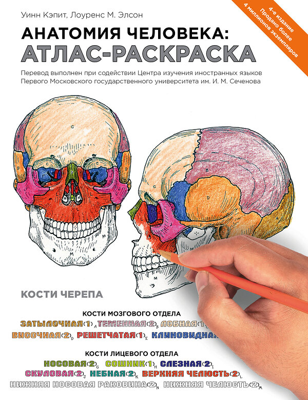 Эксмо Лоуренс М. Элсон, Уинн Кэпит "Анатомия человека: атлас-раскраска" 339490 978-5-699-71506-0 